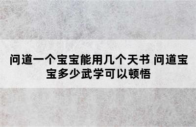 问道一个宝宝能用几个天书 问道宝宝多少武学可以顿悟